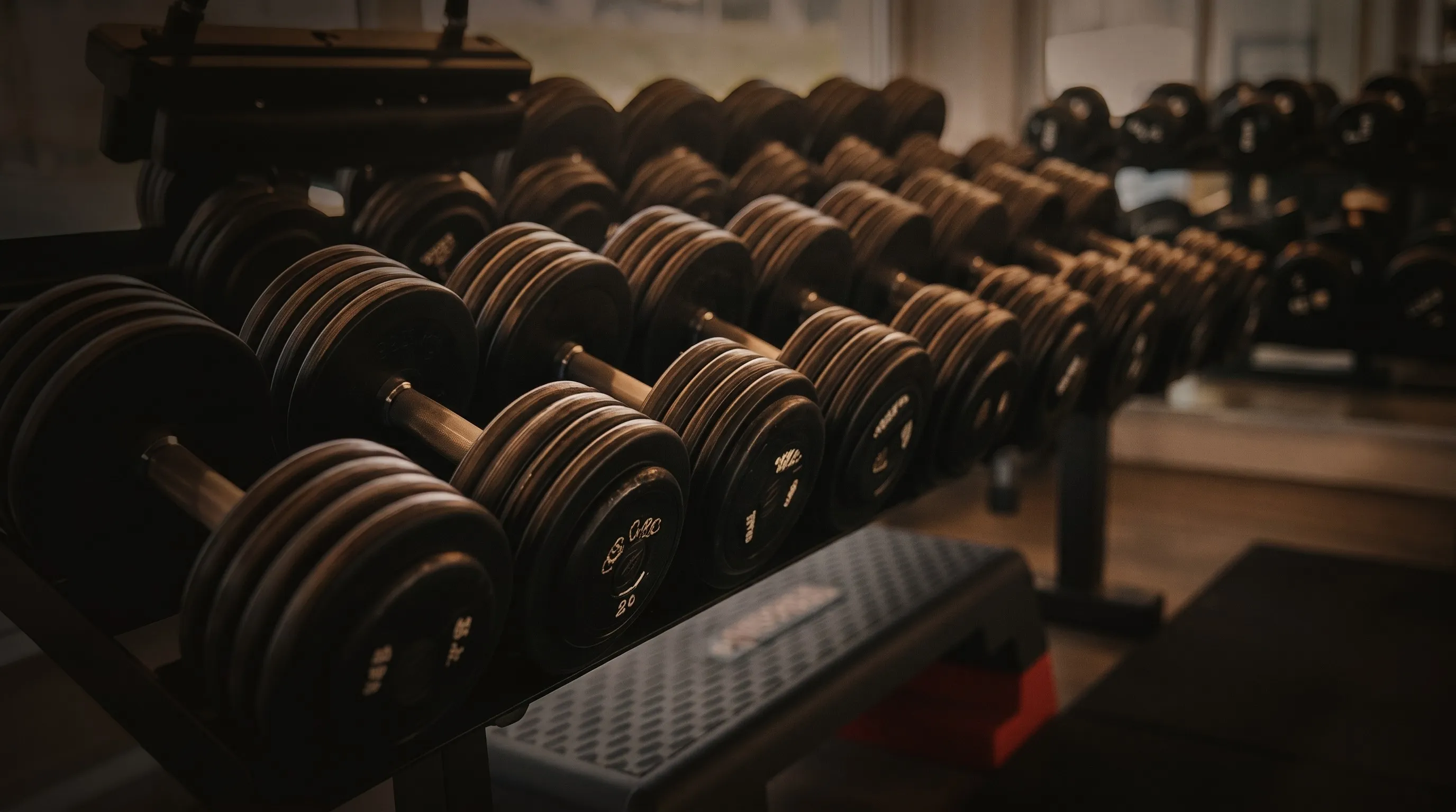 Physiothérapie du Sport & MTT à Morat | Physio & Performance